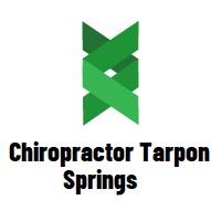 Chiropractor Tarpon Springs image 1